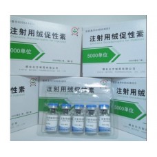 HCG China 20000iu