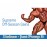 Professional Bulking Cycle – Xtreme Off the season Gains