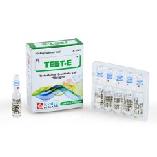 Test E 250 by Evolve Biolabs