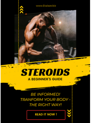1st Steroid Cycle Guide eBook