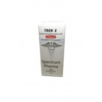 Tren E by Spectrum Tren E by Spectrum