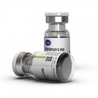 Testaplex E 250mg by Axioabs Testaplex E 250mg by Axioabs
